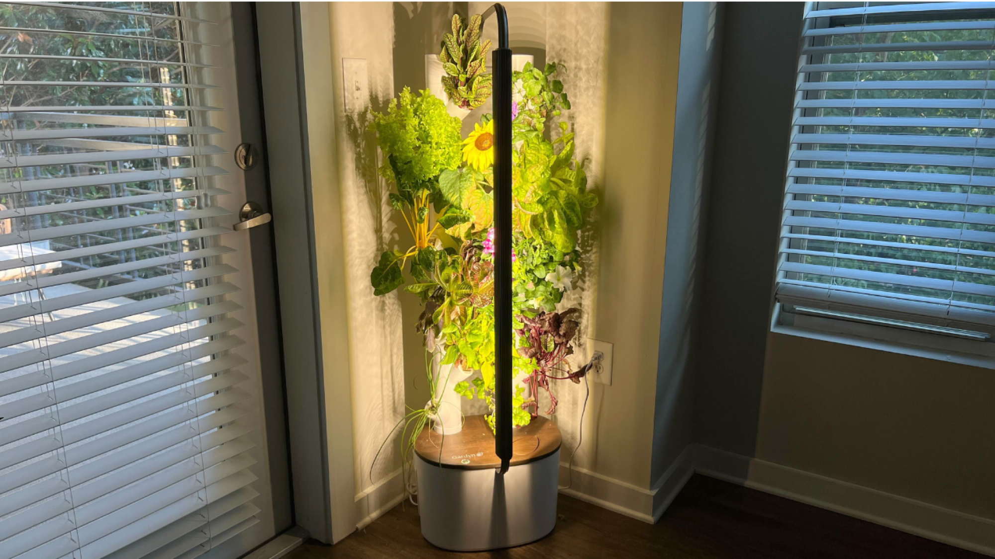 hydroponic garden with leafy greens and flowers growing