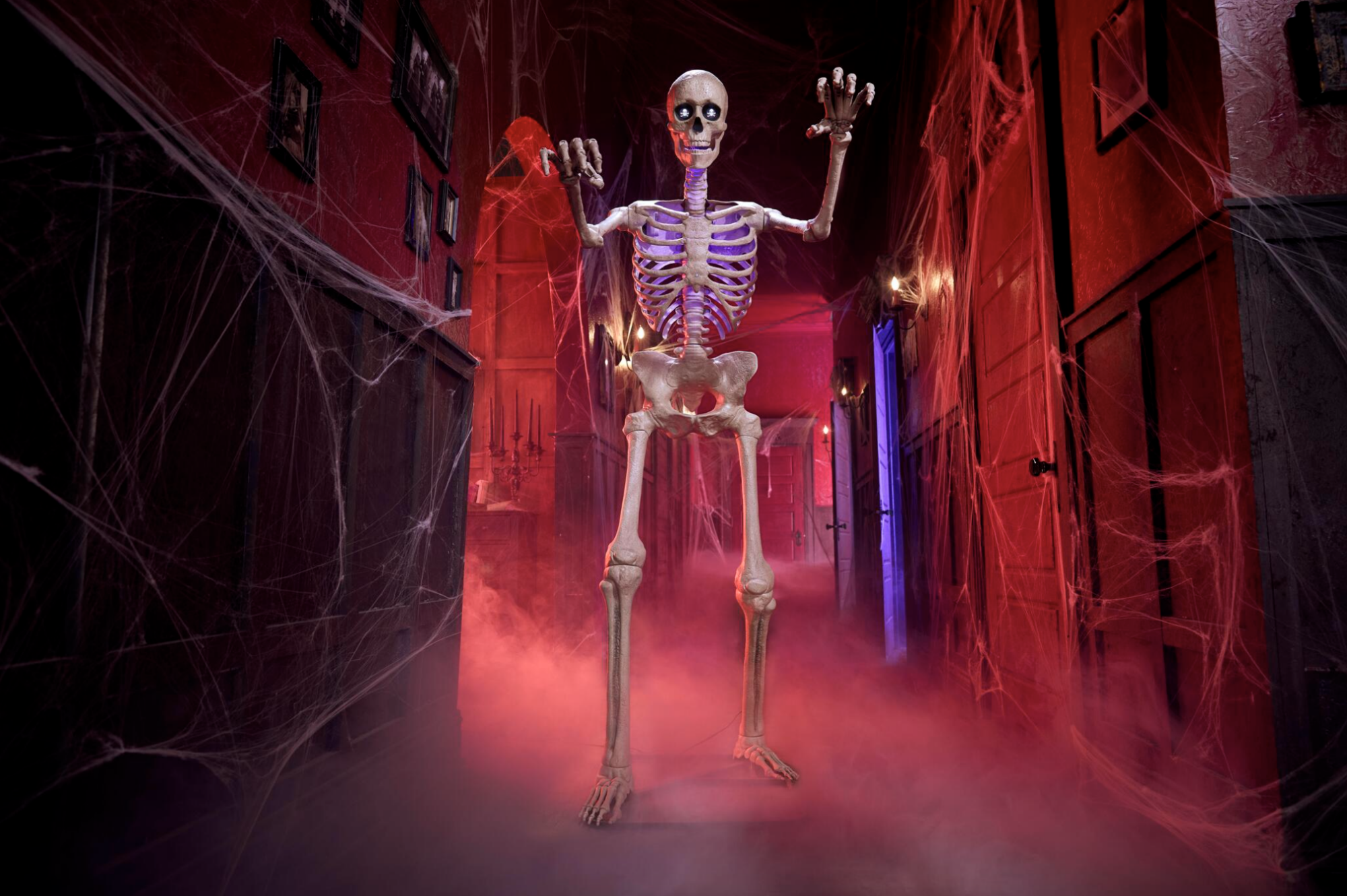 the home depot's ultra skelly